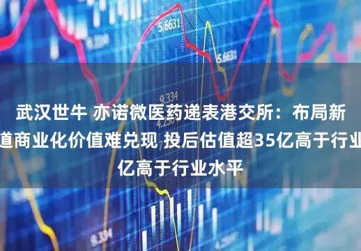 武汉世牛 亦诺微医药递表港交所：布局新兴赛道商业化价值难兑现 投后估值超35亿高于行业水平