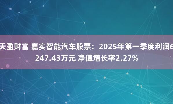 天盈财富 嘉实智能汽车股票:2025年第一季度利润6247.43万元 净值增长率2.27%